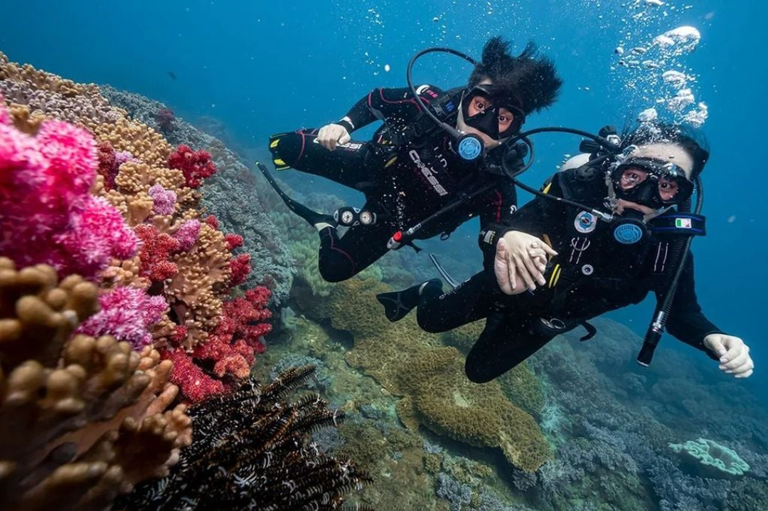 Chuyến du lịch lặn biển đầy thú vị ở Nha Trang - Kinh nghiệm lặn biển Nha Trang